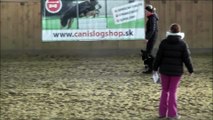 Klaudia & Keen - Halové preteky Obedience 19.11.2016
