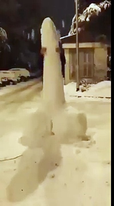 Cock in the Snow