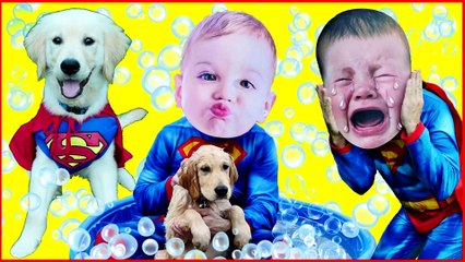 Crying Baby Superheroes in Real Life Superman Gives SuperPup a Bath BIG HEAD CRYING BABIES