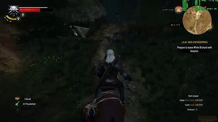 Witcher 3 - How to get raped when strangers come to your house