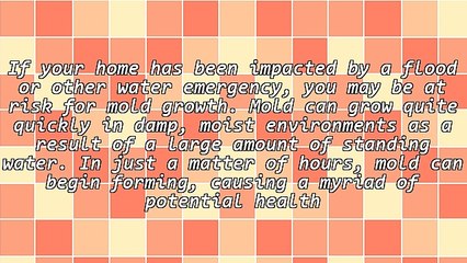 The Dangers of Mold in Your Home