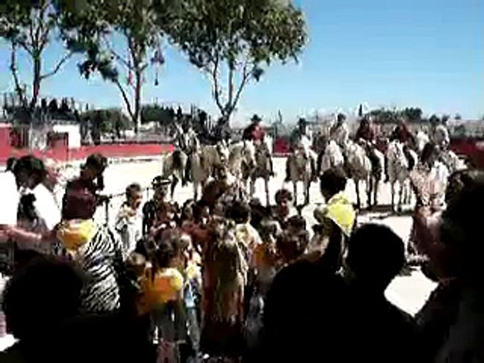 Arènes Aimargues coupo-santo