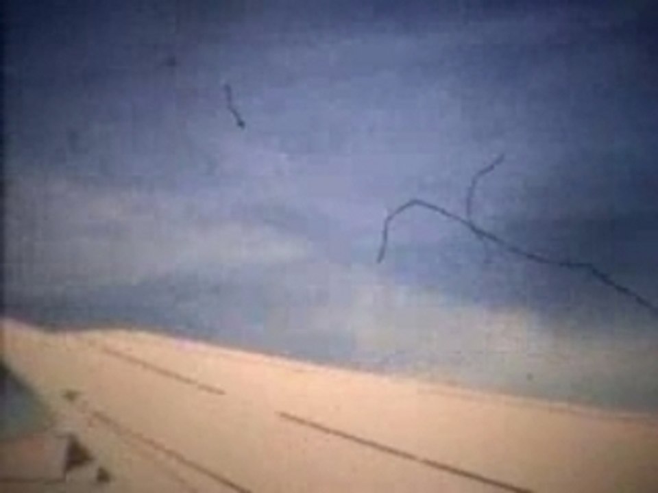 DJ Shadow -Organ donor