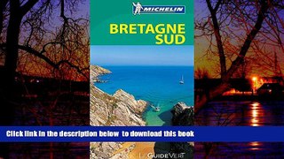 Read book  Guide vert Bretagne sud [green guide France: southern Brittany] (French Edition) BOOOK