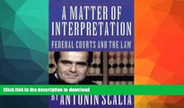 READ  A Matter of Interpretation: Federal Courts and the Law (The University Center for Human