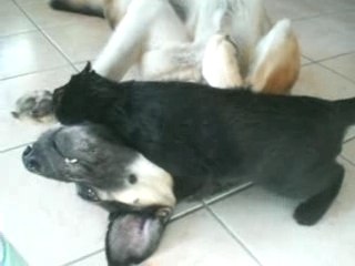 Changa et Peggy