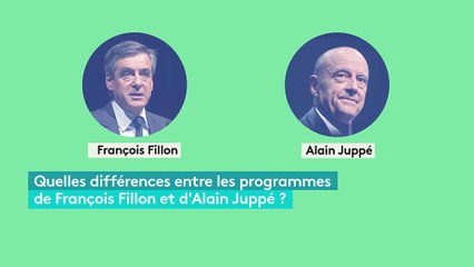 Economie, international, société... Comparez les programmes de Fillon et Juppé