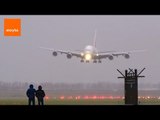 Dangerous Winds Halt Landings at Amsterdam Airport
