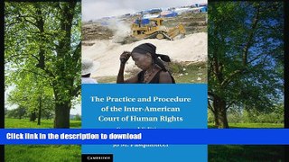 FAVORITE BOOK  The Practice and Procedure of the Inter-American Court of Human Rights FULL ONLINE