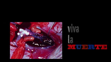 millan astroBoy - poesia fascista