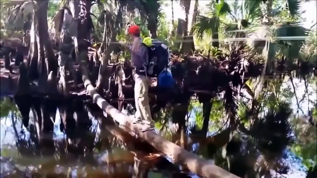 Funny Fails Compilation of 2016