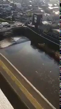 Horrifying Footage of the tsunami/earthquake in Fukushima, Japan
