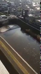 Horrifying Footage of the tsunami/earthquake in Fukushima,  Japan