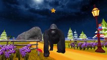 Twinkle Twinkle Little Star King Kong Nursery Rhyme | King Kong 3D Animation Lullaby for Kids