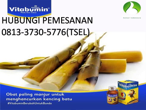 0813-3730-5576(TSEL) - Vitamin Nafsu Anak