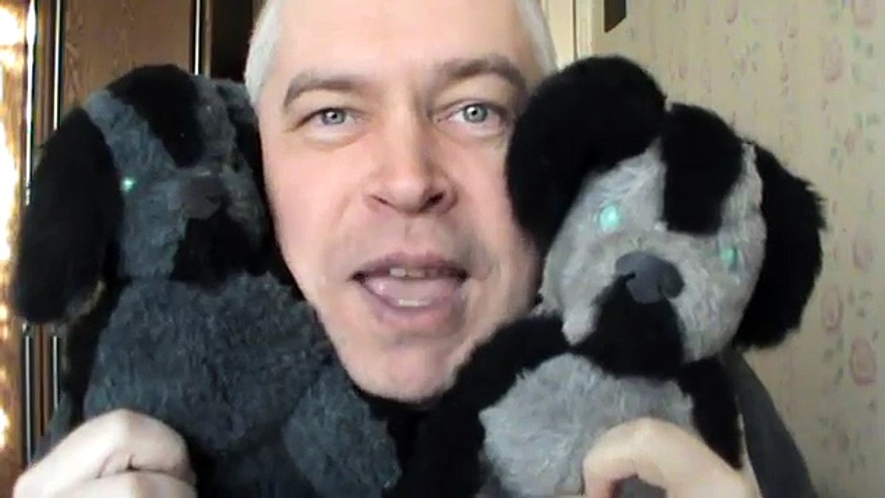 Мои собачки — Игрушки