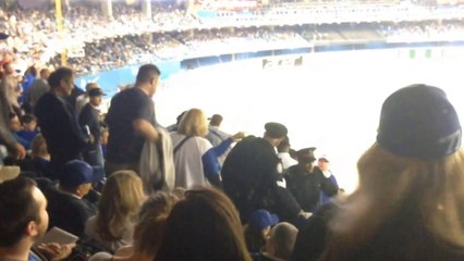 Download Video: Grosse bagarre dans les tribunes pendant un match de Baseball de Blue Jays