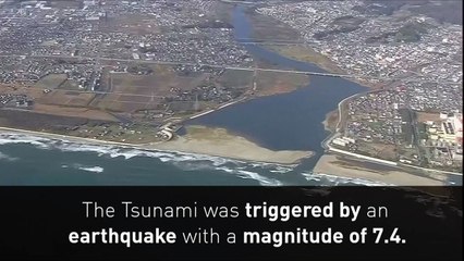 Tsunami hits coast of Japan