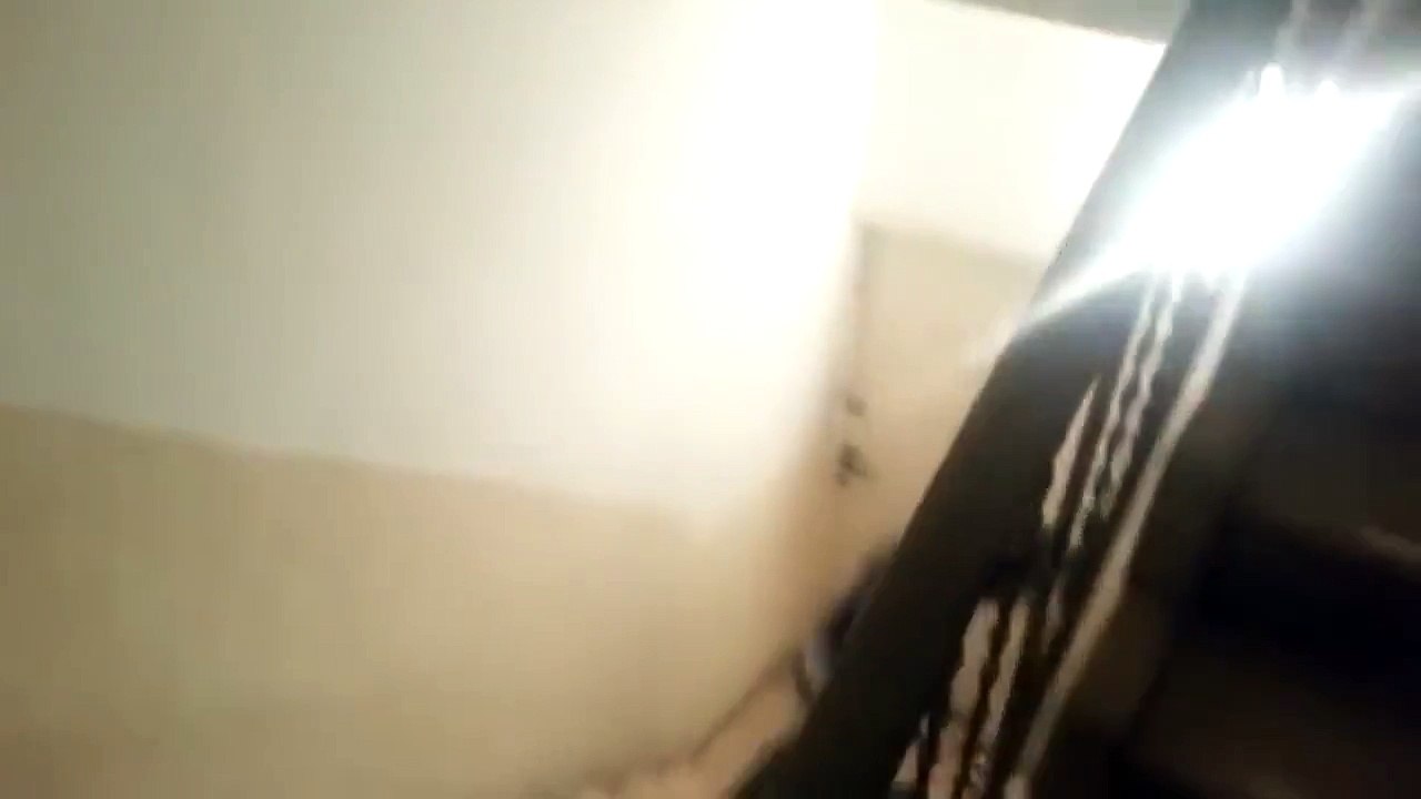 Attaque de rat : ne jamais jouer avec un rat paniqué