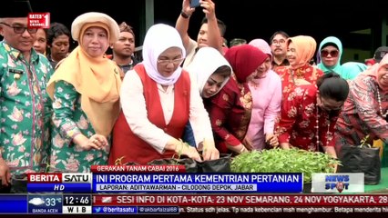 Gerakan Nasional Penanaman 50 Juta Pohon Cabai di Pekarangan Rumah