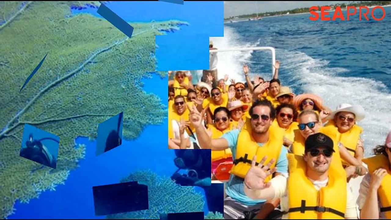 Book Punta Cana Scuba Diving - Seaprodivers.com