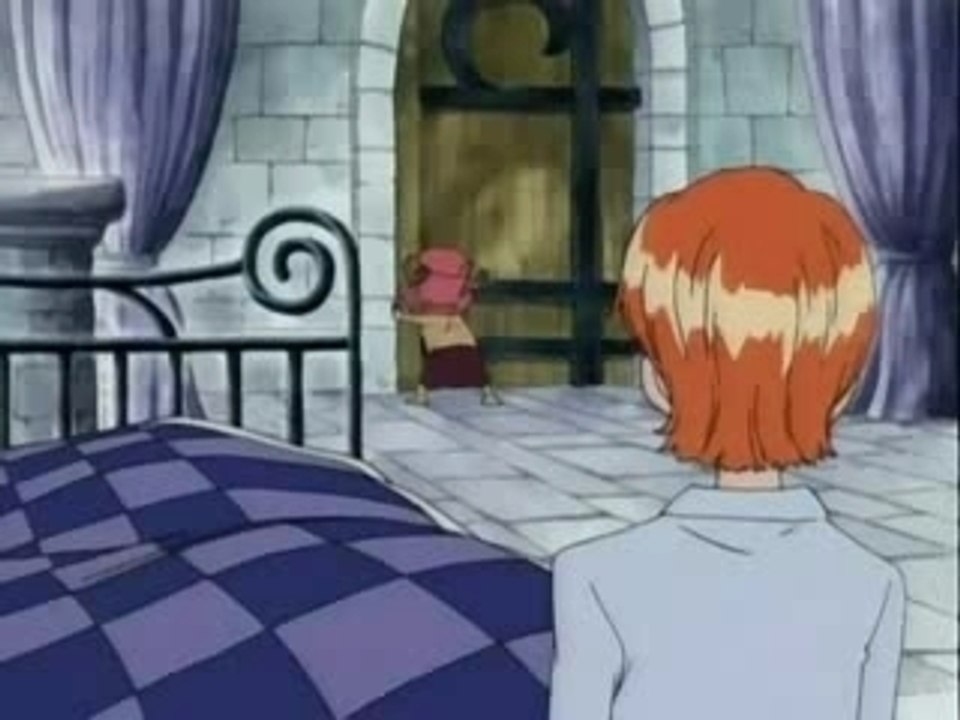 One Piece - Chopper Bios