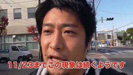 【ポケモンGO】ラプラスをゲットしに行く！〜石巻復興イベント編〜