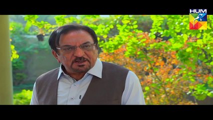 Bud Gumaan Eds 44 L    HUM TV Drama 21 November 2016