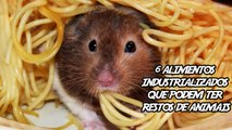 6 Alimentos Industrializados que Podem ter Restos de Animais