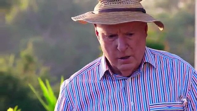 Home and Away 6556 22nd November 2016