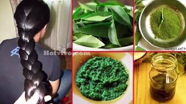 47. These leaves not only grow your hair, they also prevent your hair from falling and repairing it