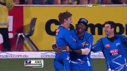 Most amazing catch in Cricket