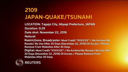Tsunami atinge o Japão após terremoto perto de local do desastre de Fukushima