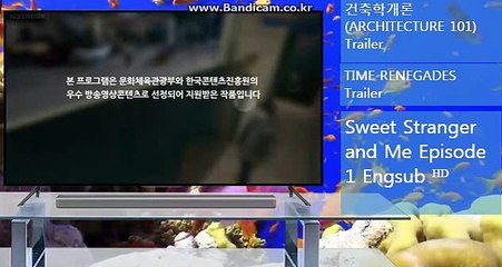 #토토솔루션,토토솔루션개발,시카고홀짝,가상축구,사다리,알라딘,사다리벨런스【카톡haricuty 스카이프haricuty】