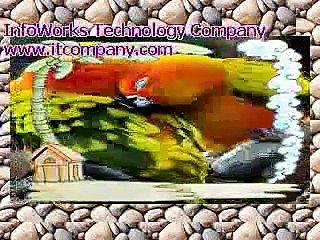 pashto naats beautiful 2016 lovely song Amazing