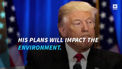 How Trump's first 100 days will impact the environment