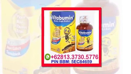 0813.3730.5776 (Tsel), Suplemen Otak