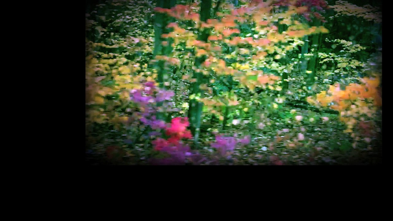 Lou Barlow- The Breeze (Official Video)