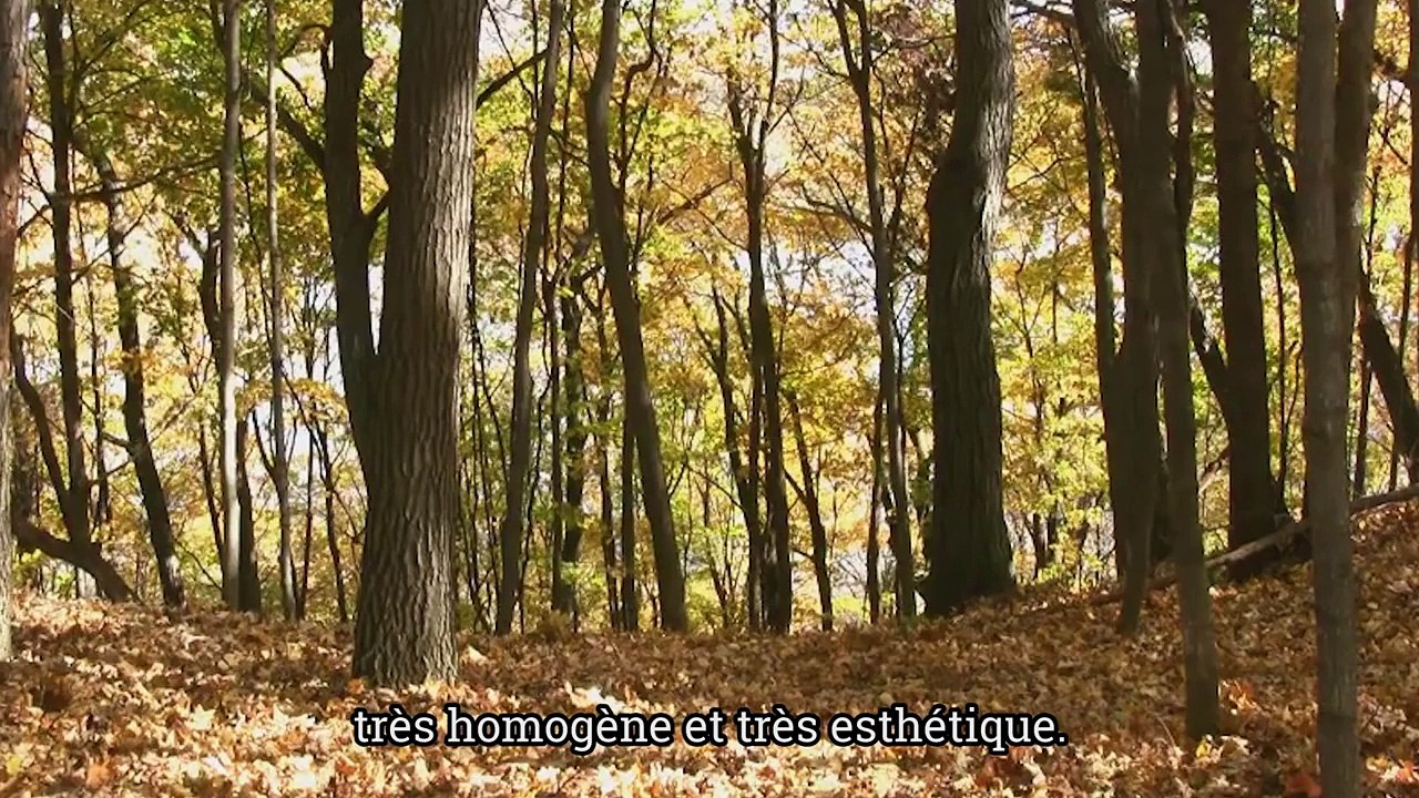 Interface : la moquette biomimétique