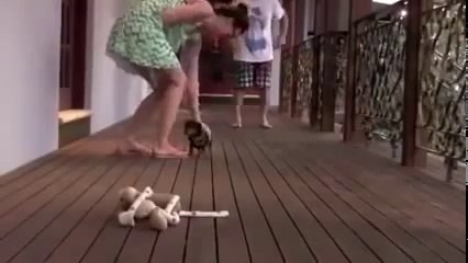 Yavru Köpeğin Sahibini Koruma Çabaları