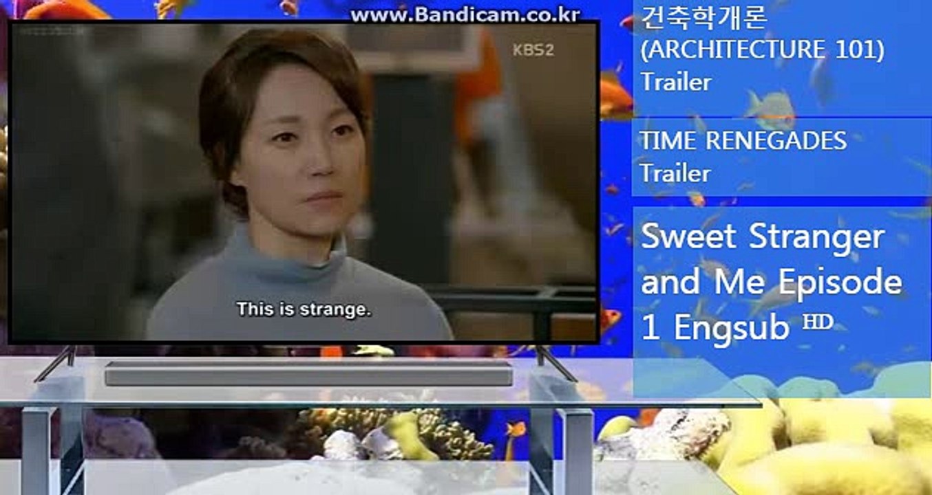 BKSOFT솔루션 토토창업 토토임대 바카라게임추가 카톡haricuty스카이프haricuty