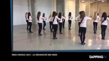 Miss France 2017 : Découvrez le déhanché très sexy des Miss (Vidéo)