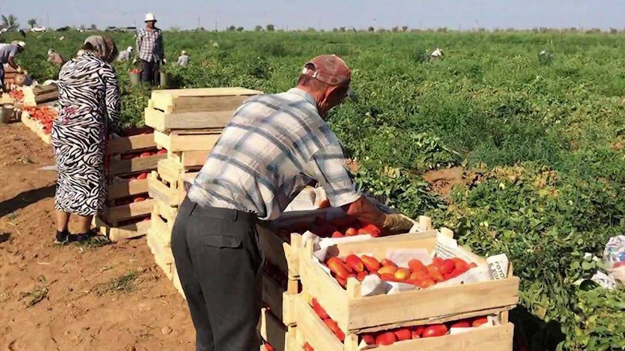 Biznes Həftəsi- ANONS