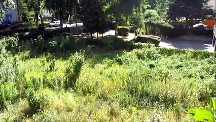 How to make a Paper Airplane - BEST Paper Planes in the World - Paper Airplanes