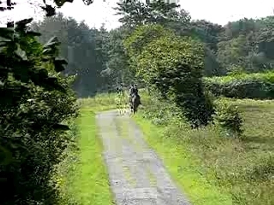Balladelea