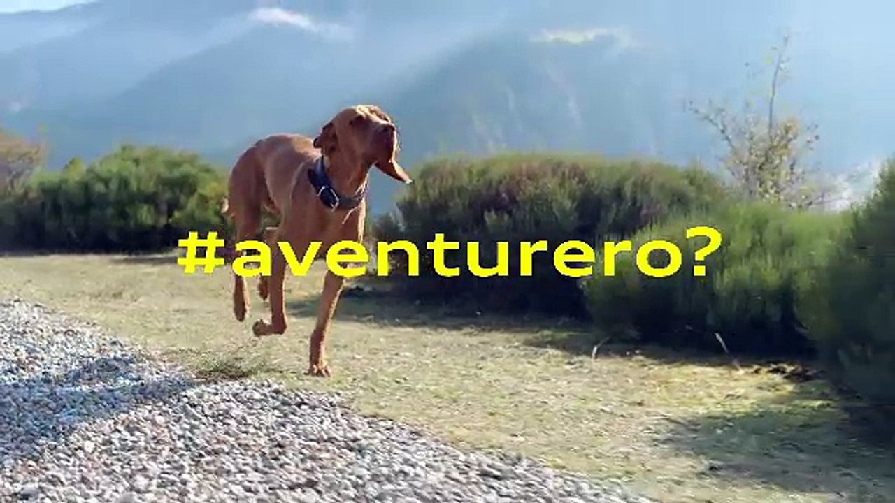 VIDEO: Q2 Promo Audi Dynamic Lunes