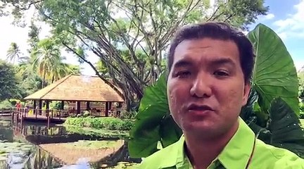 #Vaiana : c'est une très belle représentation des cultures polynésiennes - LTOM