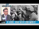 北 김정은, 김일성 닮으려 성형수술했다?_채널A_뉴스TOP10