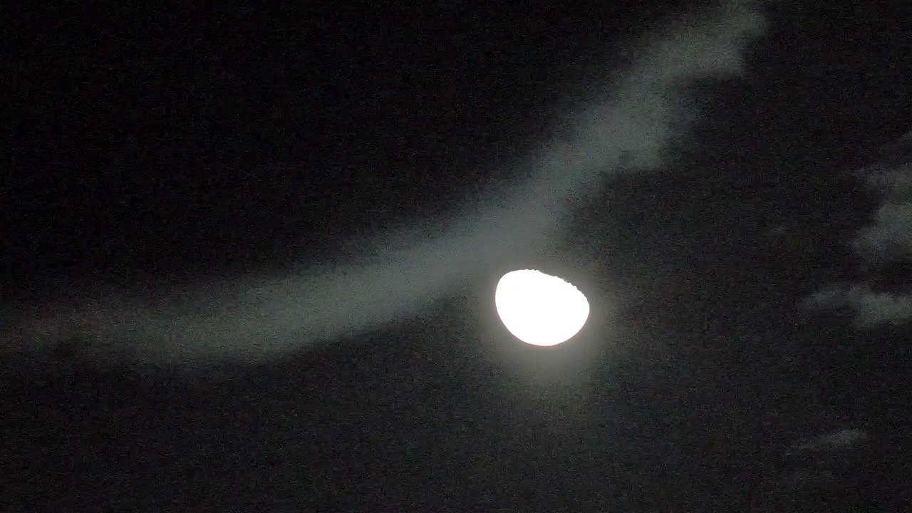 BUONANOTTE da VIDEOPASSION da Palmi - di R. Mancini