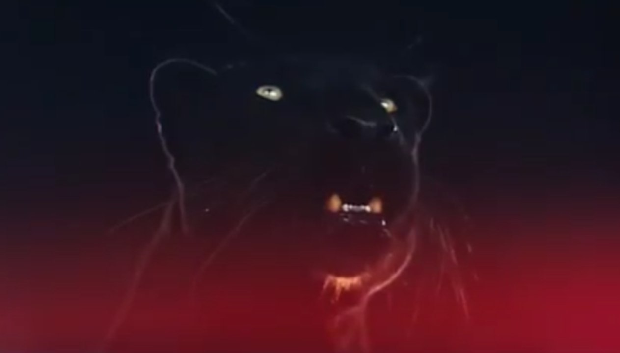 The Weeknd - Mania (Video Snippet)